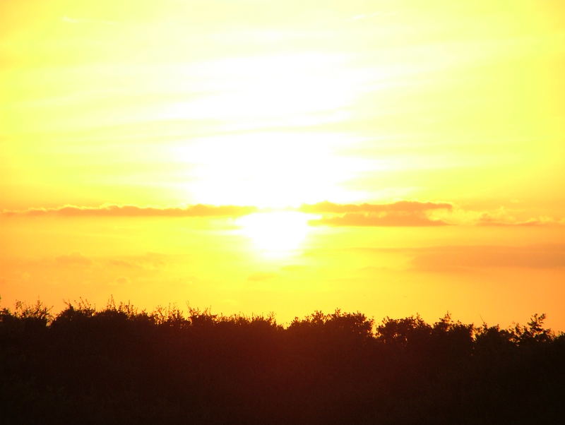 Sunset on Isle of Palm, NC, USA