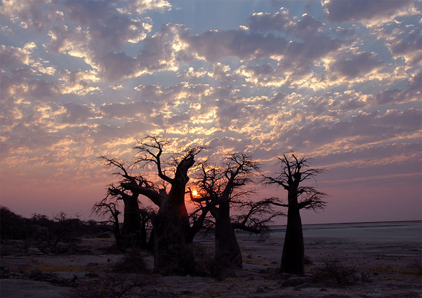 Sunset on Kubu Island