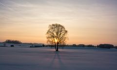 Sunset on Snow