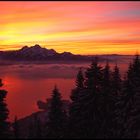 sunset on swiss