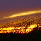 Sunset on Texel