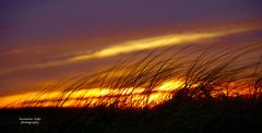 Sunset on Texel