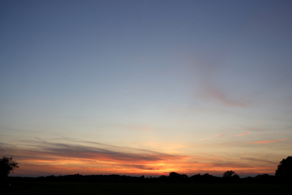 Sunset on the 31/05/2019 - image 6