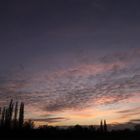 Sunset on the 7. January 2020 - image 6