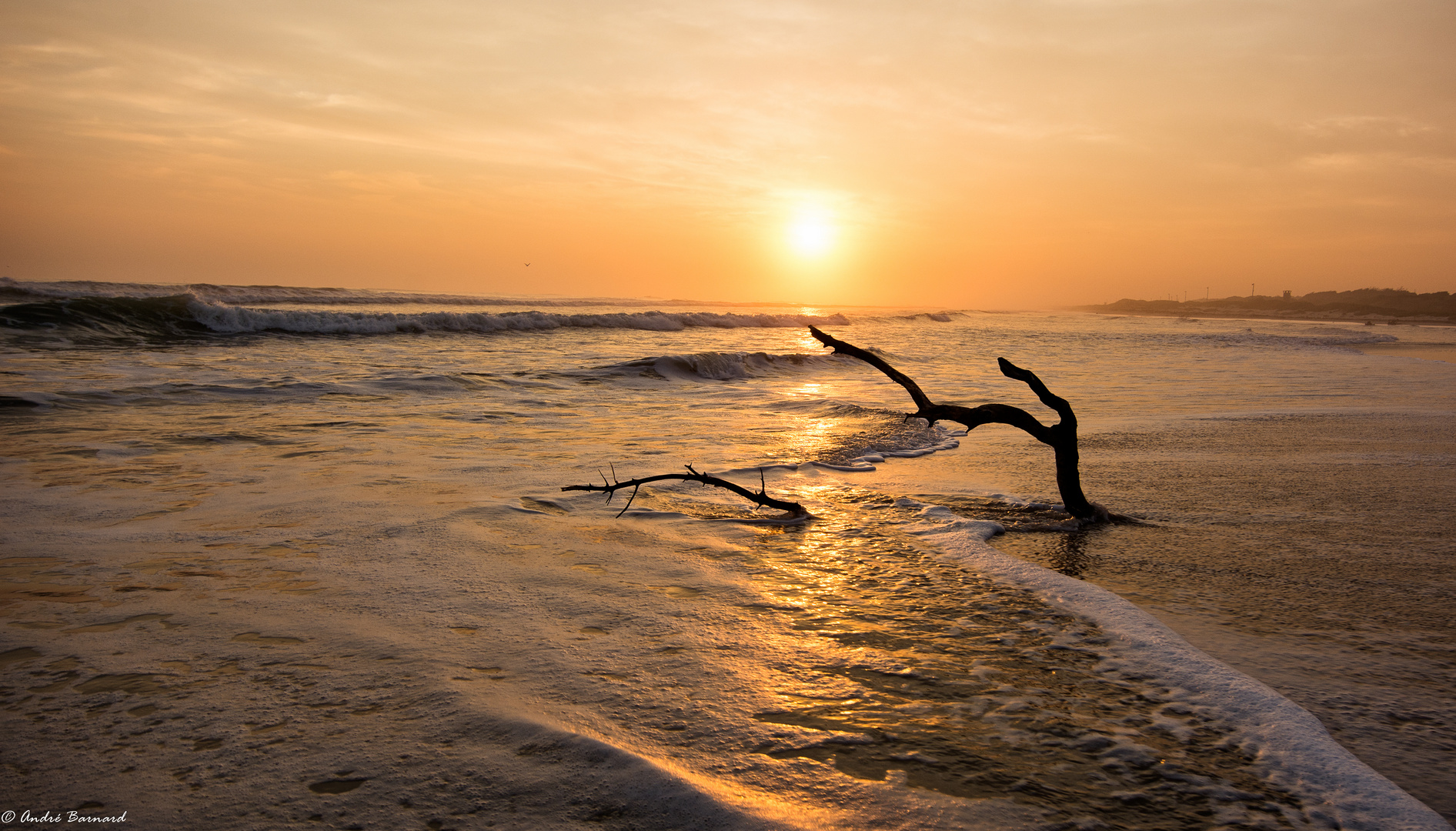 Sunset on the beach