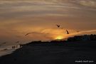 Sunset on the beach de mohane 