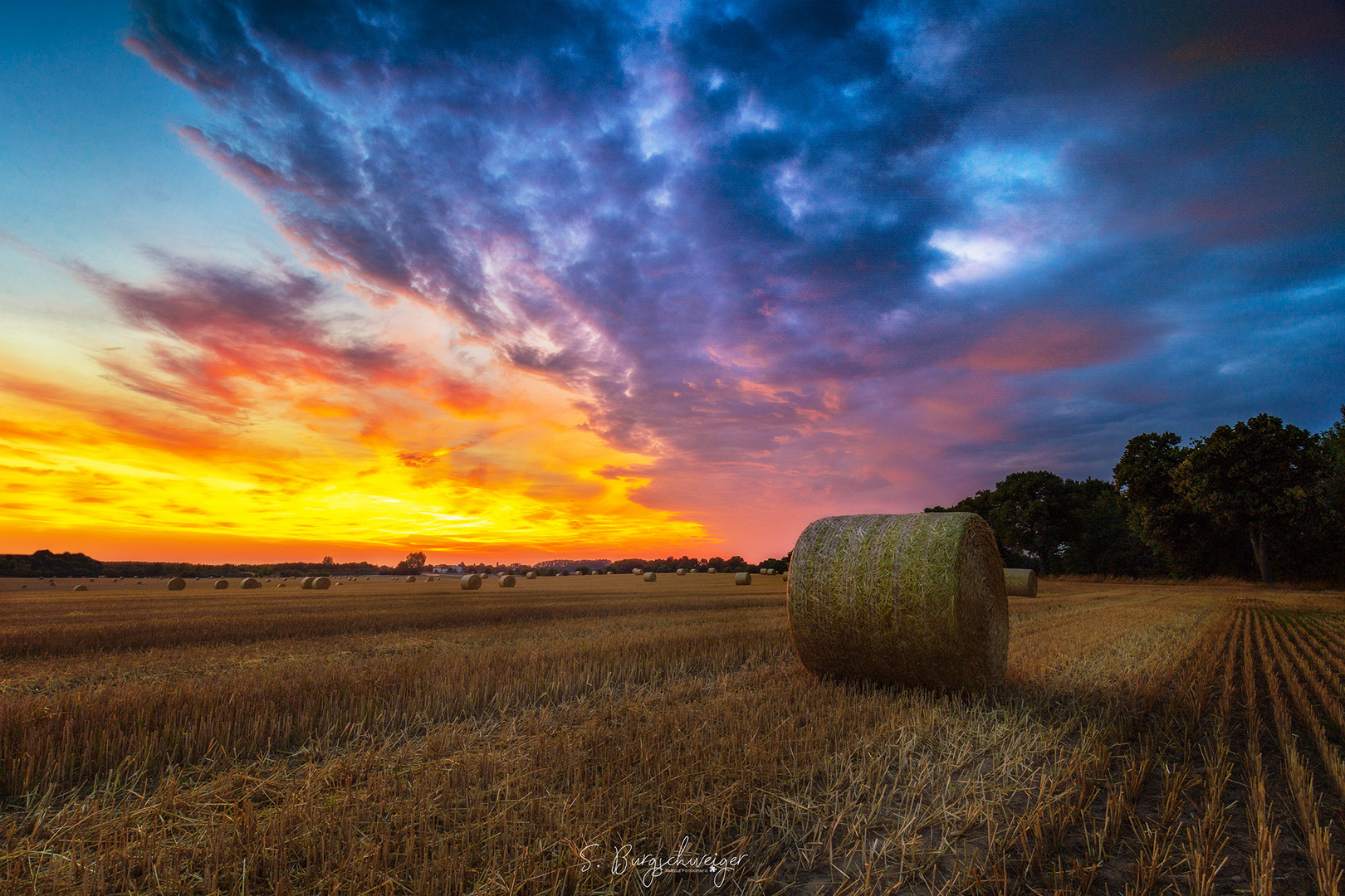 Sunset on the field 