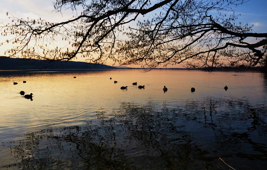 Sunset on the Greifensee