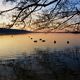 Sunset on the Greifensee