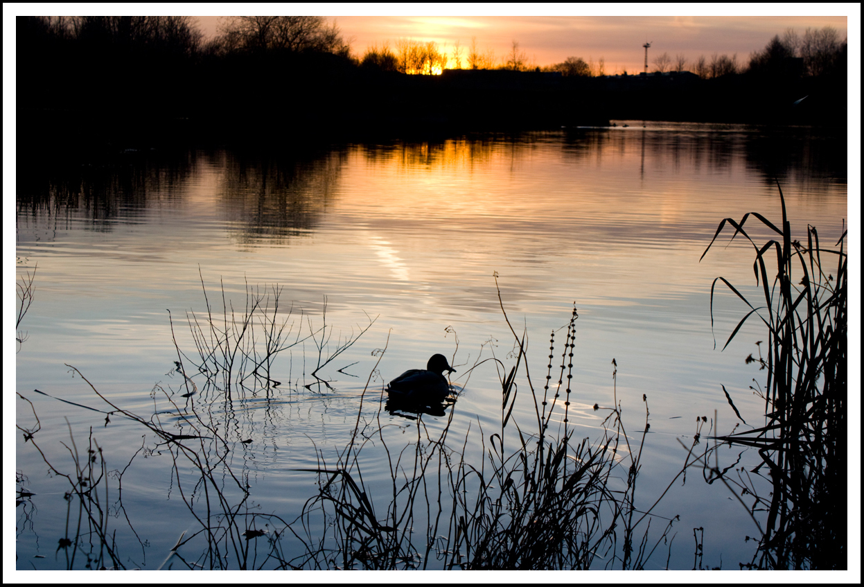 Sunset on the lake.