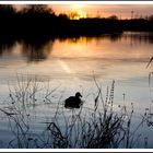 Sunset on the lake.