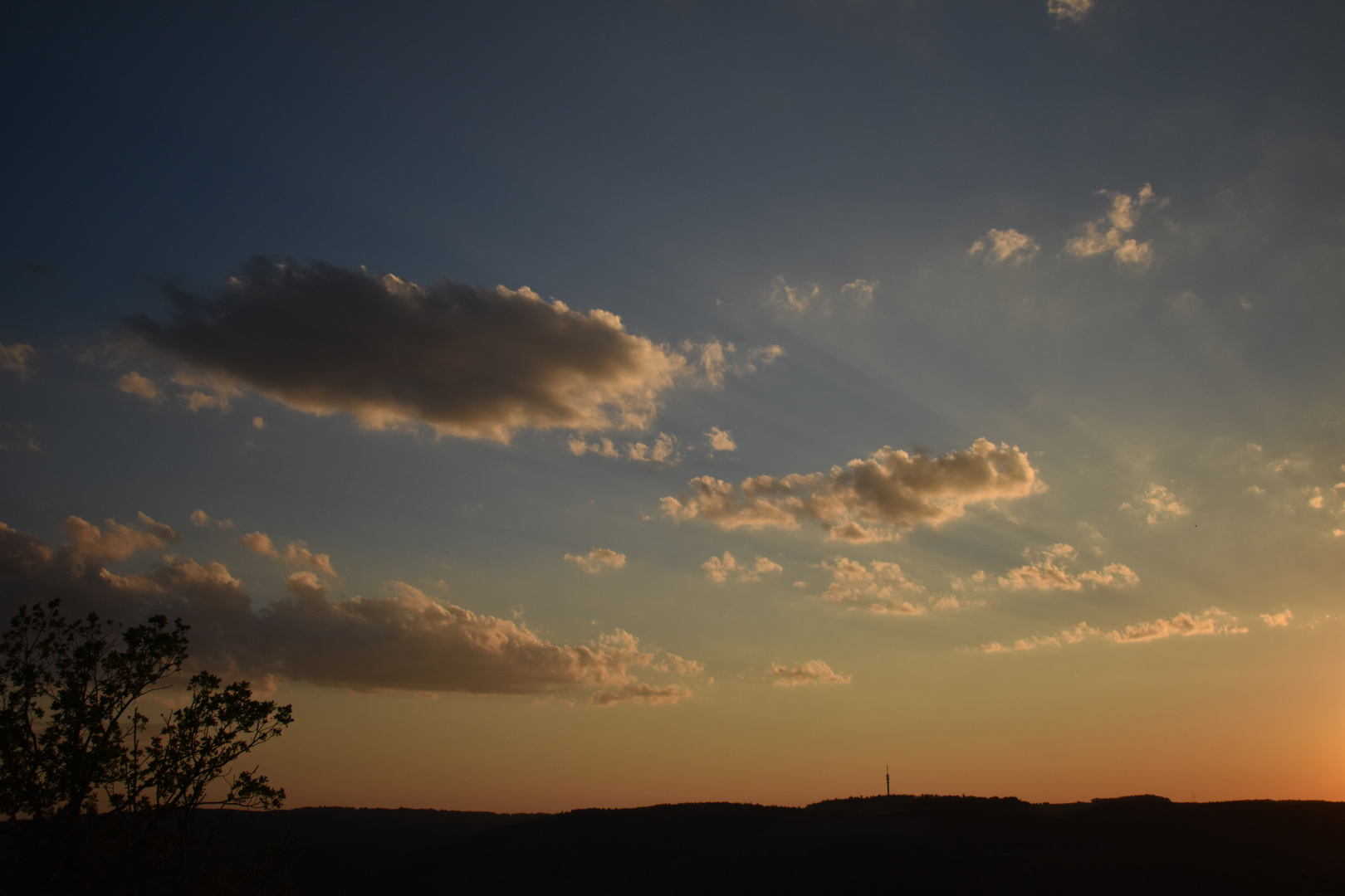 Sunset on the town