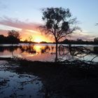 Sunset on the Warrego River