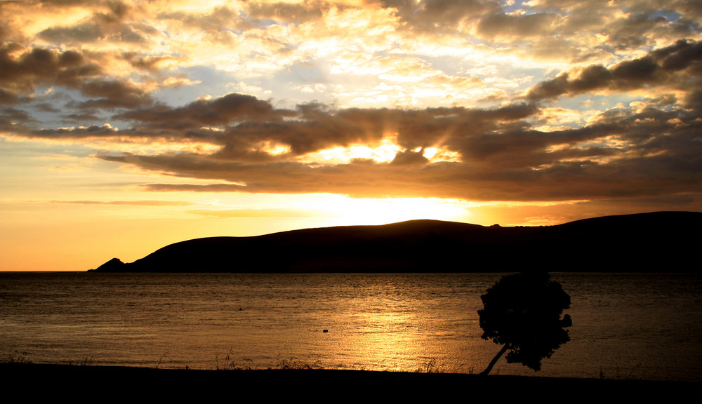 Sunset Opononi with tree (NZ)