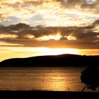 Sunset Opononi with tree (NZ)