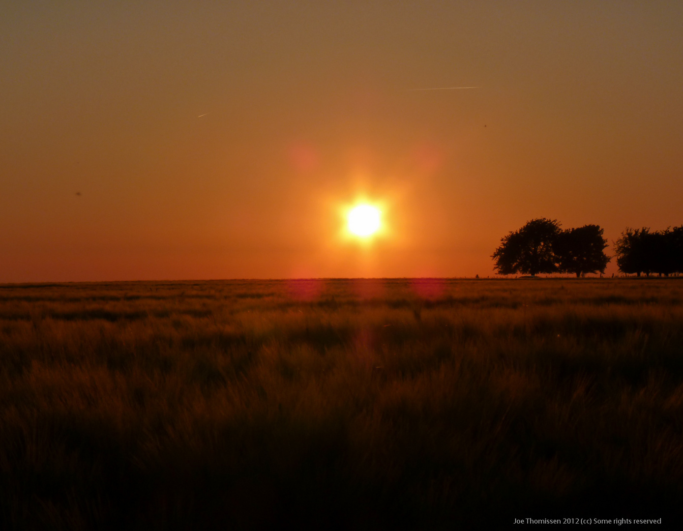 Sunset over a Wheat Field