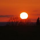 Sunset over Beerheide