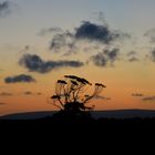 Sunset over Cape Agulhas