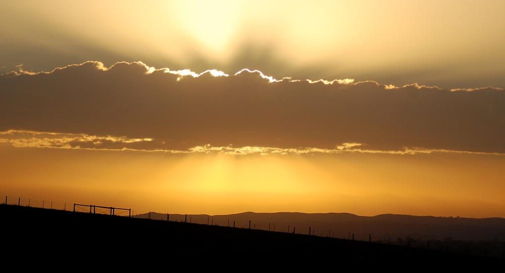 Sunset over Chatswood Stud