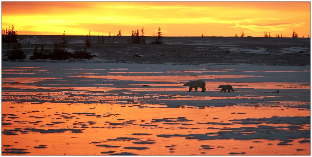 [ Sunset Over Churchill River ]