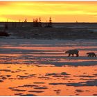 [ Sunset Over Churchill River ]