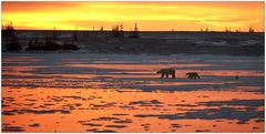 [ Sunset Over Churchill River ]