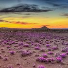 Sunset over Great Karoo