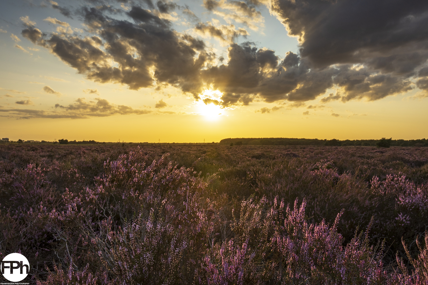 Sunset over Moorland