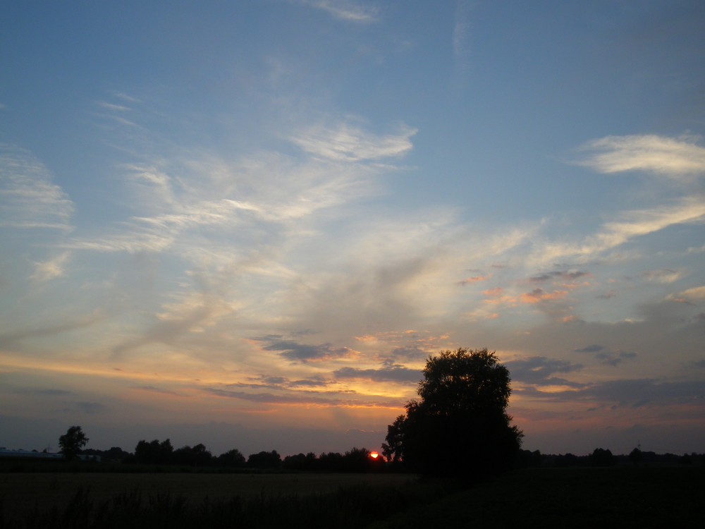 ... sunset over newmercyfield