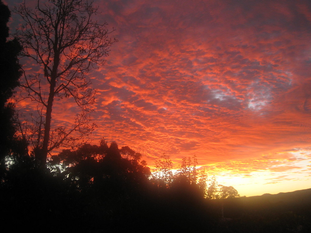 Sunset over Nimbin