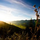 Sunset over the alps