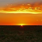 ** Sunset over the Birdsville Track Planes **