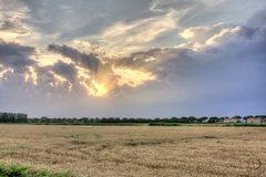 Sunset over The Cornfield