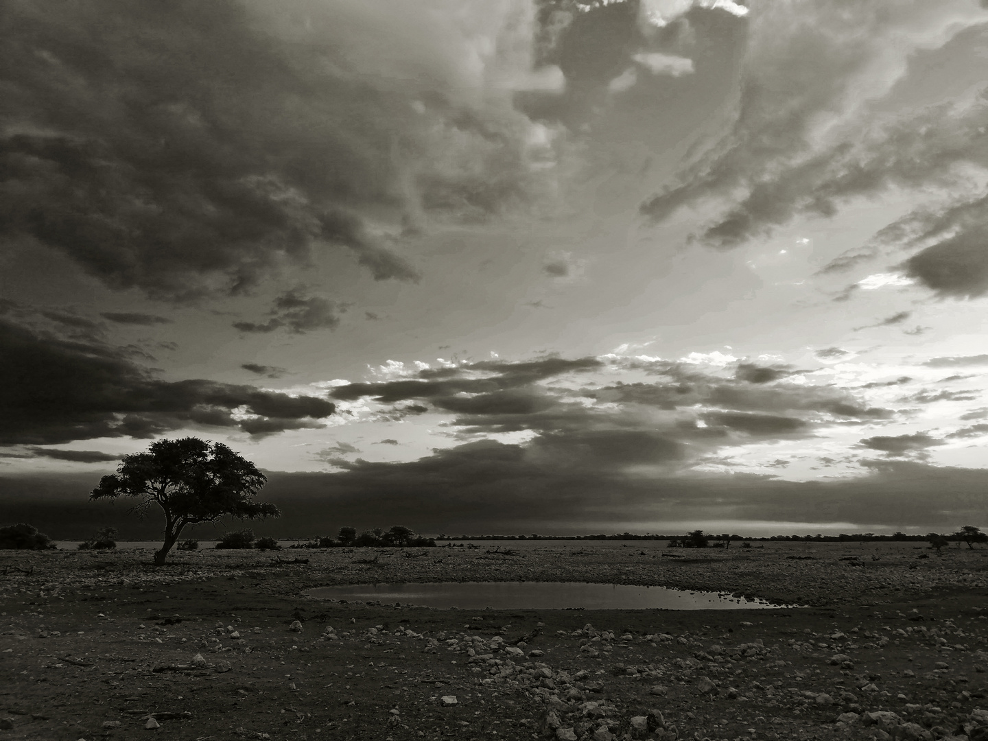 Sunset over the desert