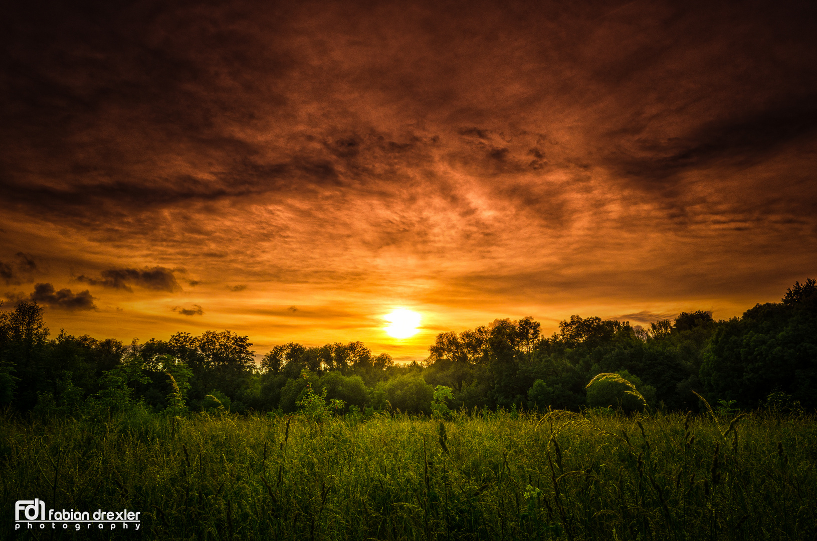 sunset over the glade