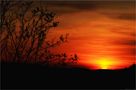 sunset over the harz mountains.. von Markus M.K. 