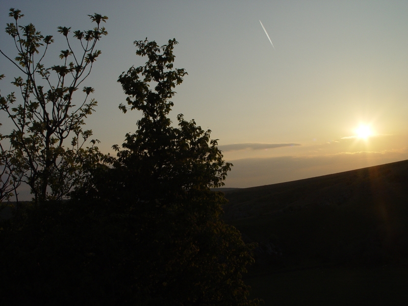 Sunset over the hedge