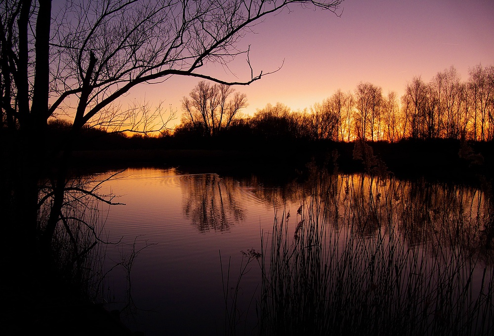 Sunset over the lake.