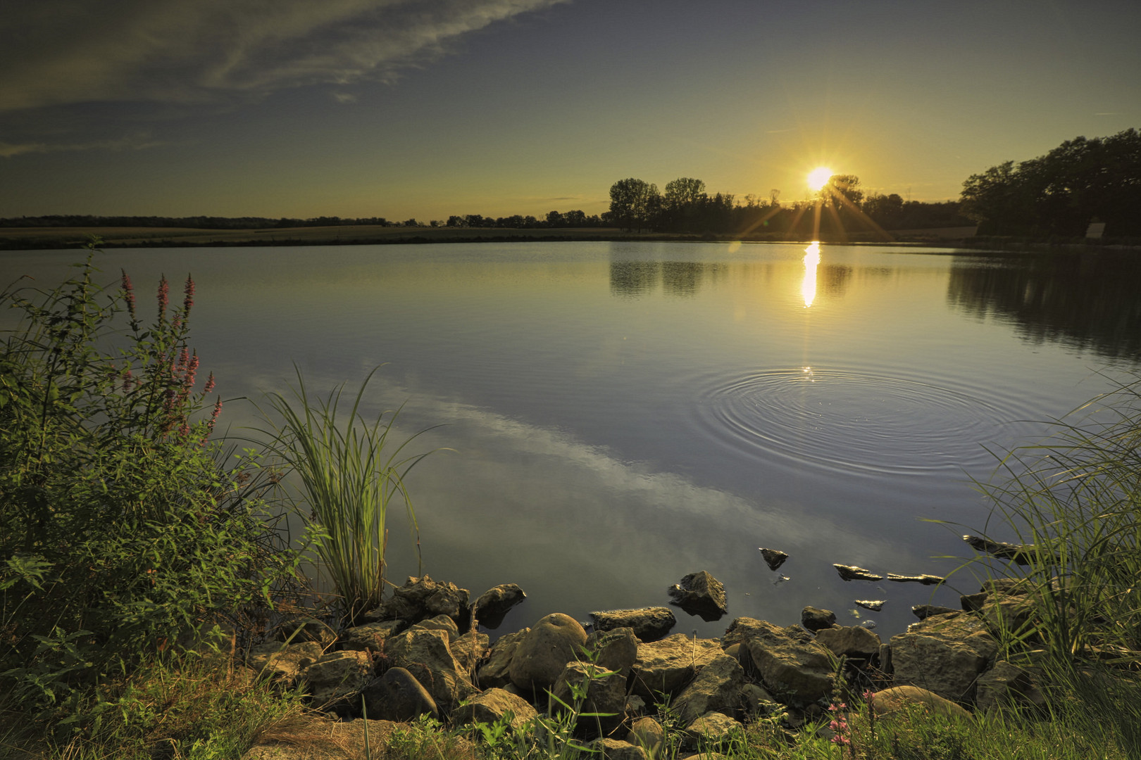 Sunset over the pond,