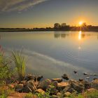 Sunset over the pond,