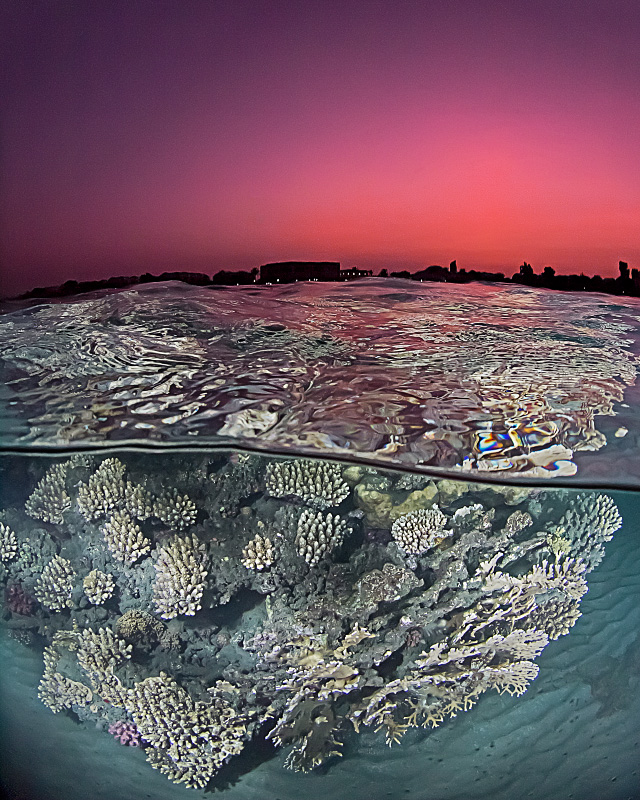 Sunset Over the Red Sea Reef