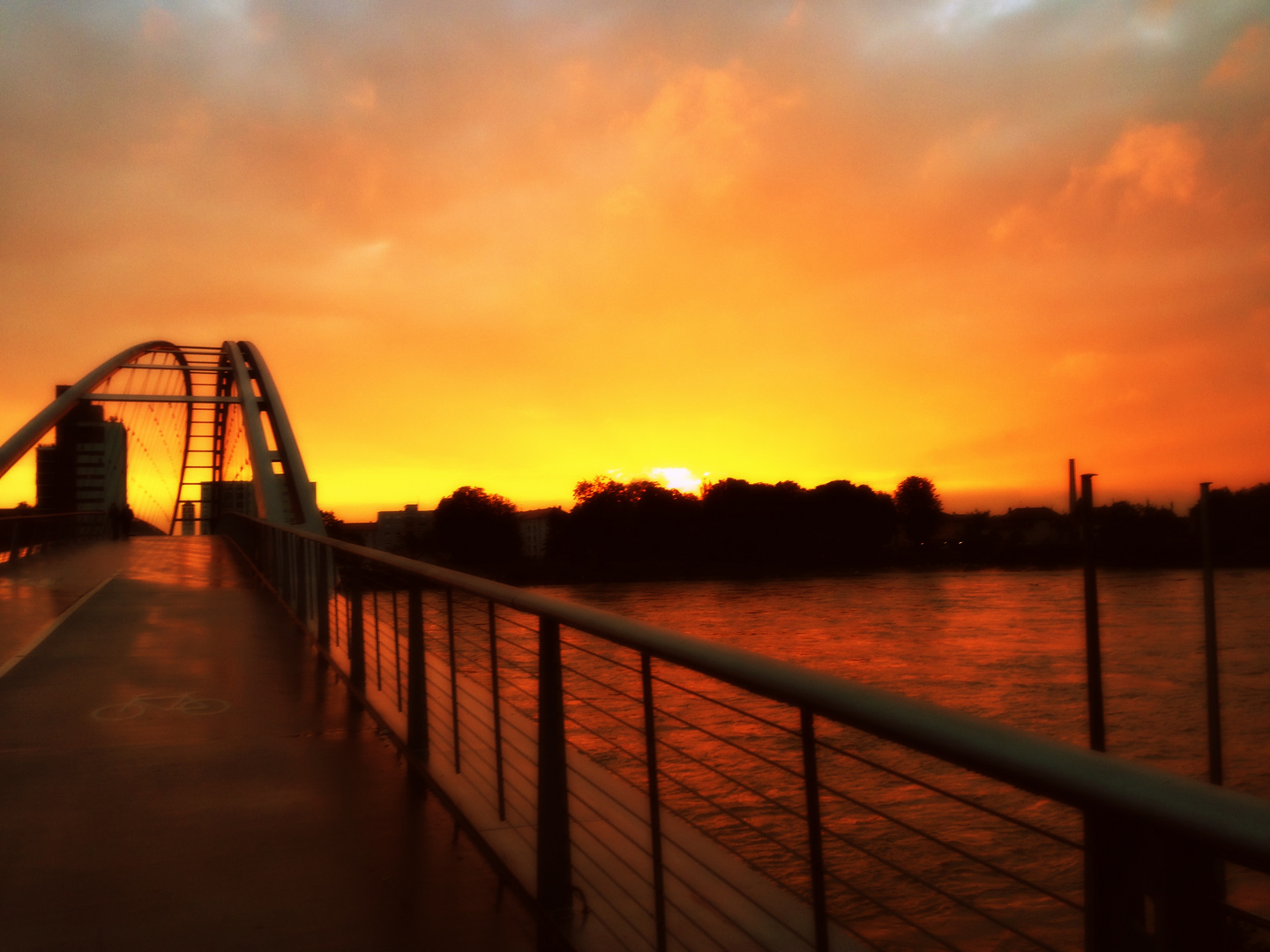 Sunset over the Rhine