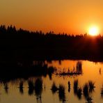 Sunset over the swamp (3) : The golden sky