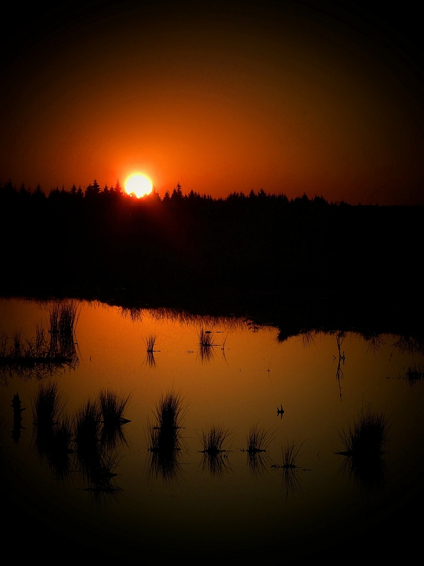 Sunset over the swamp (4) : The last glow