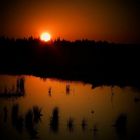 Sunset over the swamp (4) : The last glow
