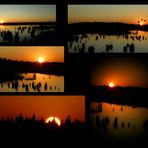 Sunset over the swamp : the compilation