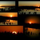 Sunset over the swamp : the compilation