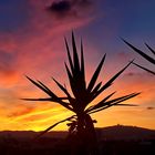 Sunset over Tibidabo