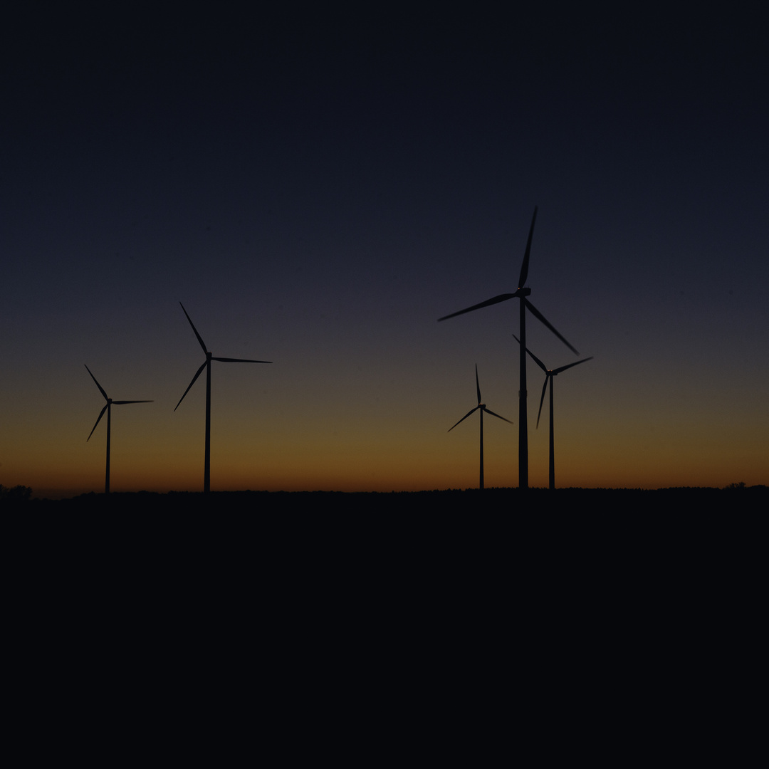 sunset over windmills