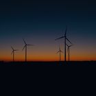 sunset over windmills